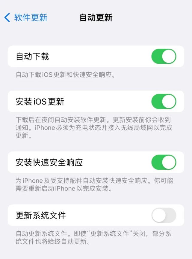 松山湖管委会苹果手机维修分享苹果快速安全响应更新有必要安装吗 